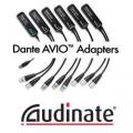 Адаптеры Audinate Dante для звукового оборудования